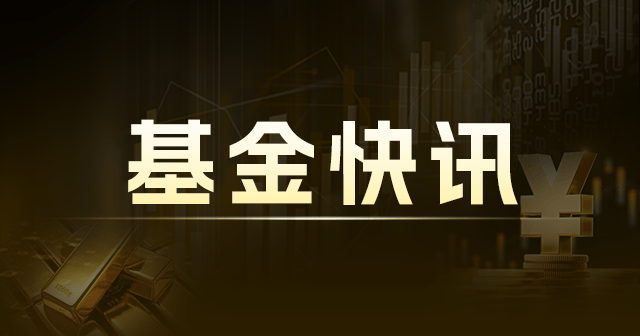 财通内需增长12个月定开混合：净值0.6159元，今年收益率-18.51%  第1张